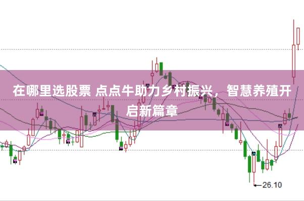在哪里选股票 点点牛助力乡村振兴，智慧养殖开启新篇章