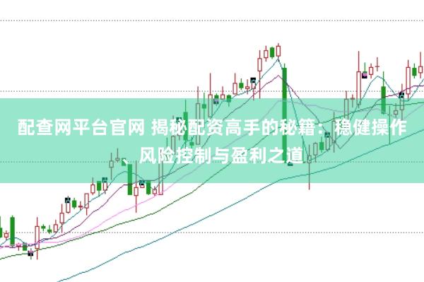 配查网平台官网 揭秘配资高手的秘籍：稳健操作、风险控制与盈利之道