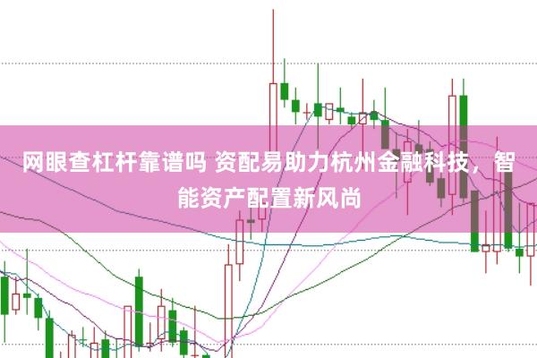 网眼查杠杆靠谱吗 资配易助力杭州金融科技，智能资产配置新风尚