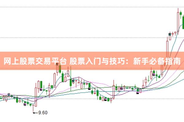 网上股票交易平台 股票入门与技巧：新手必备指南