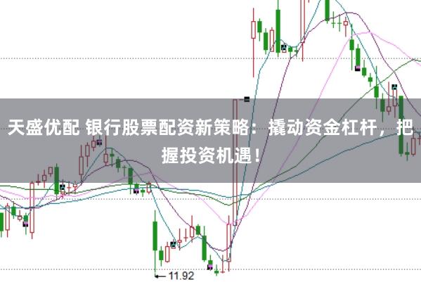 天盛优配 银行股票配资新策略：撬动资金杠杆，把握投资机遇！