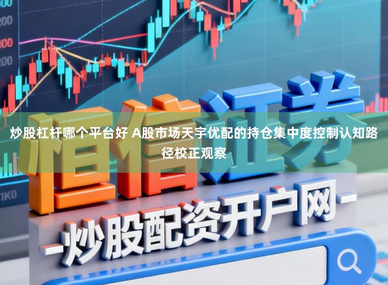 炒股杠杆哪个平台好 A股市场天宇优配的持仓集中度控制认知路径校正观察