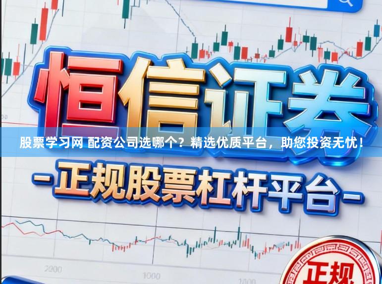 股票学习网 配资公司选哪个？精选优质平台，助您投资无忧！